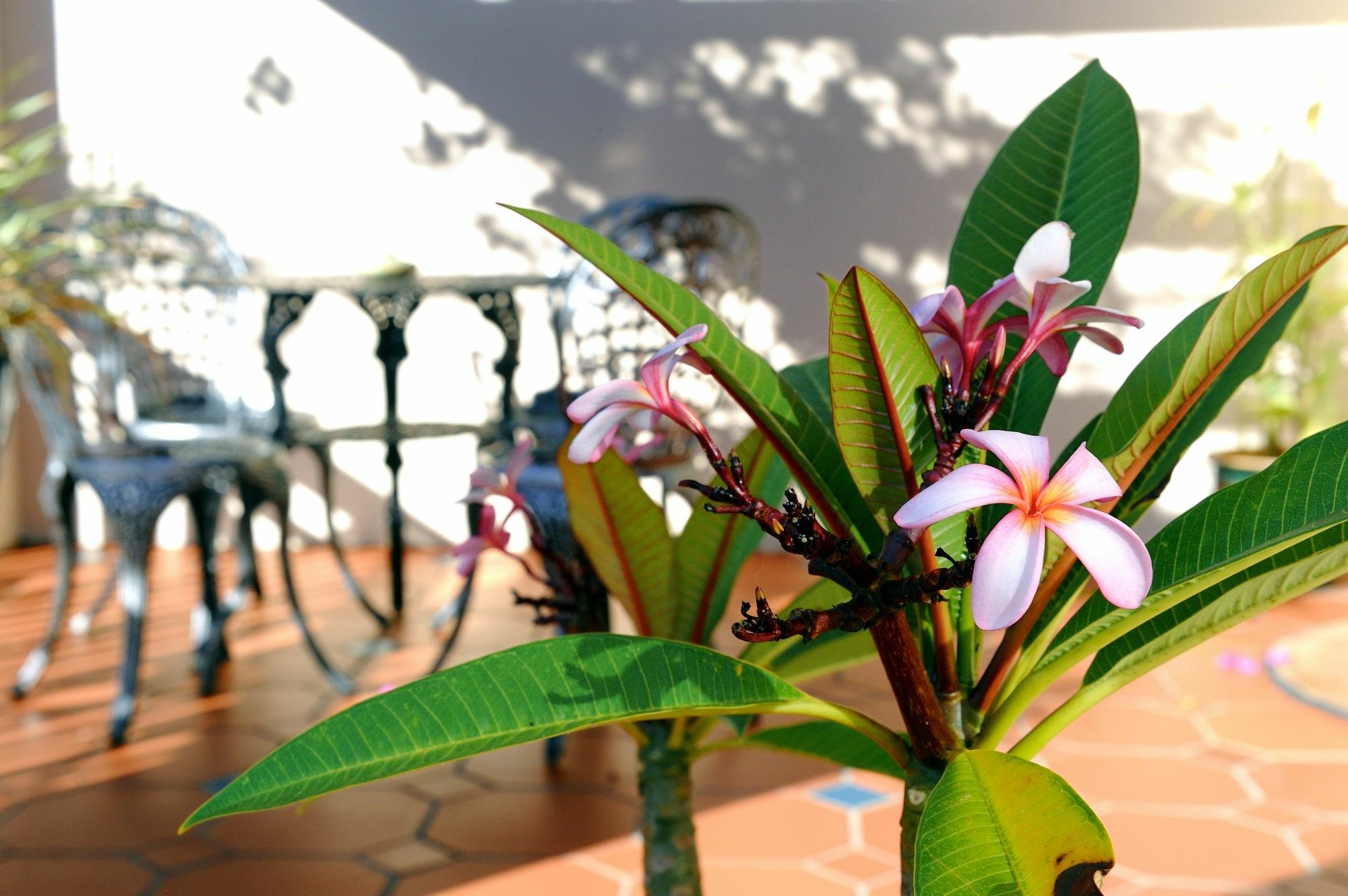 Guest house Bayside Port Elizabeth